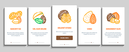 Nut Food Different Onboarding Mobile App Page Screen Vector. Peanut And Almond, Chestnut And Macadamia, Cashew And Pistachio, Pine And Sunflower Seeds Color Illustrations