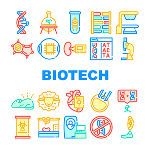 Biotech Technology Collection Icons Set Vector. Biotech Eye And Kidney, Decoding Dna Code And Testing, Dolly Sheep And Bioengineering Concept Linear Pictograms. Color Contour Illustrations