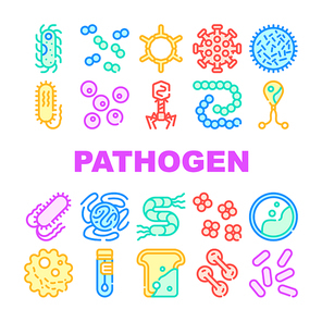 Pathogen Virus Disease Collection Icons Set Vector. Pathogen Bacteria And Protozoa Malaria, Mold On Bread And Vibrio Cholerae Concept Linear Pictograms. Color Contour Illustrations