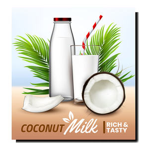 Coconut Milk Natural Drink Promo Banner Vector. Bio Vegan Coconut Dairy Refreshment Product Glass Bottle, Cracked Nut And Palm Branches On Advertising Poster. Style Concept Layout Illustration