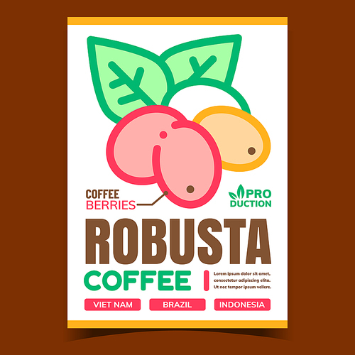 Robusta Coffee Creative Advertising Banner Vector. Coffee Natural Berries And Leaves Agricultural Plant Promotional Poster. Eco Production Concept Template Style Color Illustration