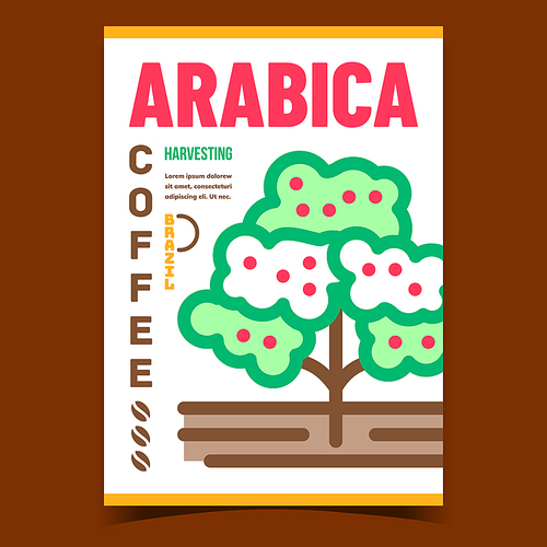 Arabica Coffee Creative Advertising Banner Vector. Coffee Plant Plantation Harvesting Promotional Poster. Agricultural Growth Tree Garden Concept Template Stylish Color Illustration