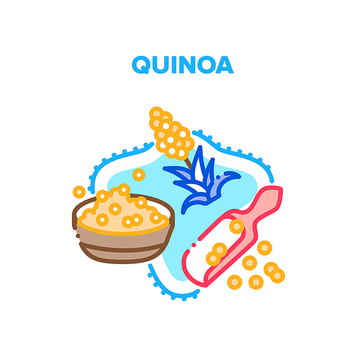 Quinoa Porridge Vector Icon Concept. Organic Natural Quinoa Growing Plant And Cooked Dish. Healthy Diet Delicious Meal Nourishment, Cookery Lunch Cereal Ingredient Color Illustration
