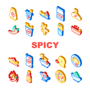 Spicy Dish Flavor Food Collection Icons Set Vector. Chili And Jalapeno Pepper,Spicy Chicken And Asian Meal, Chips And Soup, Nachos And Pizza Isometric Sign Color Illustrations