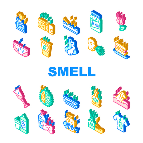 Smell Feel And Sense Collection Icons Set Vector. Cheese And Flowers, Smoking And Garbage Smell, Ammonia And Aroma Candles, Durian And Dog Isometric Sign Color Illustrations