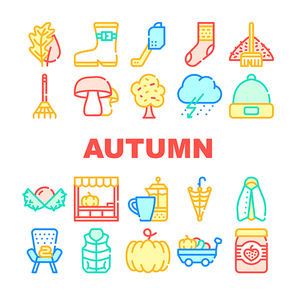 Autumn Season Objects Collection Icons Set Vector. Tree Leaves And Rake, Mushrooms And Pumpkin, Sock And Shoe, Umbrella And Armchair Concept Linear Pictograms. Color Contour Illustrations