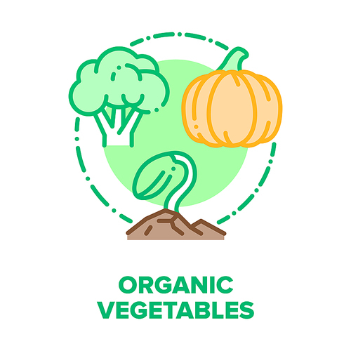organic vegetables bio food vector icon concept. pumpkin, broccoli and growing sprout, natural agricultural vegetables, healthcare  delicious vegetarian nutrition color illustration