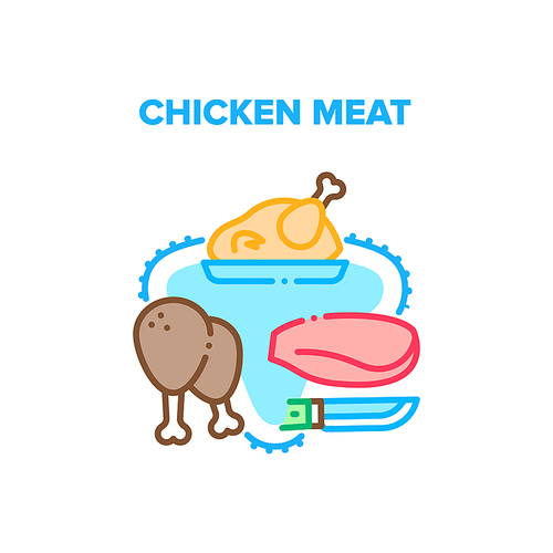 Chicken Meat Vector Icon Concept. Raw And Fried Chicken Meat Fillet And Legs, Grilled Bird Delicious Meal. Marinated Organic Food Cooked In Stove Or Barbeque Fire Color Illustration