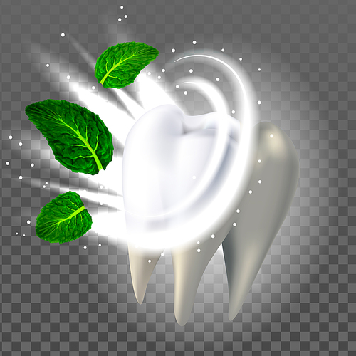 Healthy Tooth And Natural Aroma Mint Leaf Vector. White Tooth With Health Enamel Dental Protection And Sparkle. Aromatic Mouth Smell And Healthcare Template Realistic 3d Illustration