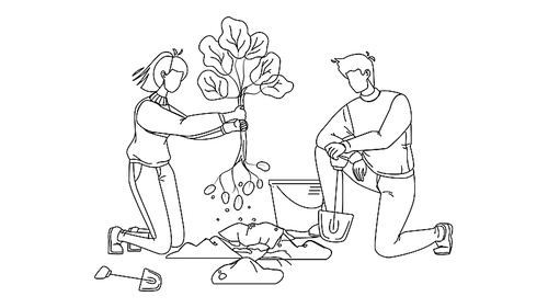 man and woman volunteering planting tree black line pen drawing vector. boy and girl volunteers gardening with bucket and shovel, volonteering for safe environmental ecology. illustration