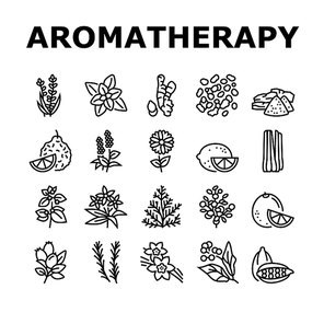 Aromatherapy Herbs Collection Icons Set Vector. Lavender And Peppermint, Ginger And Frankincense, Patchouli And Chamomile Aromatherapy Black Contour Illustrations