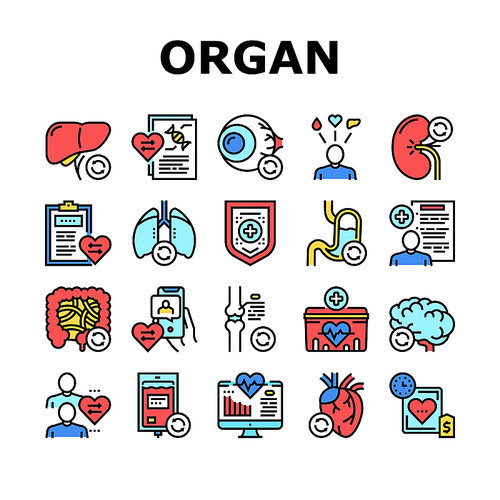 Organ Donation Medical Collection Icons Set Vector. Liver And Lungs, Heart And Brain, Stomach And Intestines Human Organ Donation Concept Linear Pictograms. Color Contour Illustrations