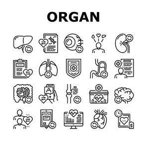 Organ Donation Medical Collection Icons Set Vector. Liver And Lungs, Heart And Brain, Stomach And Intestines Human Organ Donation Black Contour Illustrations