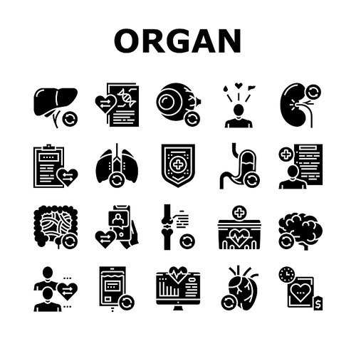 Organ Donation Medical Collection Icons Set Vector. Liver And Lungs, Heart And Brain, Stomach And Intestines Human Organ Donation Glyph Pictograms Black Illustrations