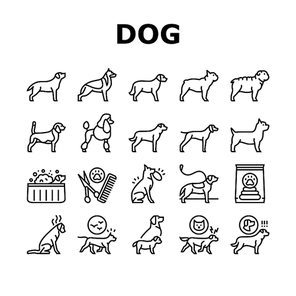 Dog Domestic Animal Collection Icons Set Vector. Yorkshire And Rottweiler, Beagle And French Bulldog, Golden Retriever And German Shepherd Dog Black Contour Illustrations