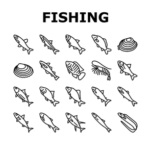 Commercial Fishing Aquaculture Icons Set Vector. Japanese Cockle And Anchovy, Common And Silver Carp, Rohu And Catle Fish, Chub Mackerel And Yellowfin Tuna Fishing Business Black Contour Illustrations