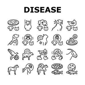 Pet Disease Ill Health Problem Icons Set Vector. Salmonellosis And Tapeworm, Psittacosis And Sarcoptic Mange, Leptospirosis And Streptococcues Pet Disease Black Contour Illustrations