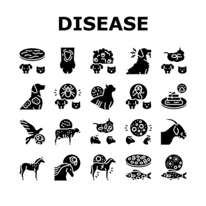 Pet Disease Ill Health Problem Icons Set Vector. Salmonellosis And Tapeworm, Psittacosis And Sarcoptic Mange, Leptospirosis And Streptococcues Pet Disease Glyph Pictograms Black Illustrations