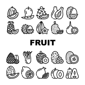 Tropical Fruit Delicious Food Icons Set Vector. Mango And Durian, Papayas And Lychee, Pineapple And Custard Apple, Pomegranate And Kiwi Exotic Fruit. Natural Vitamin Nutrition Contour Illustrations