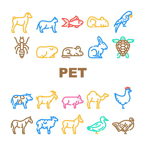 Pet Domestic, Farm And Sea Aqua Icons Set Vector. Mice And Hamster, Dog Puppy And Cat Kitty Pet, Horse And Camel, Parrot And Chicken Bird, Turtle And Aquarium Fish Line. Color Illustrations