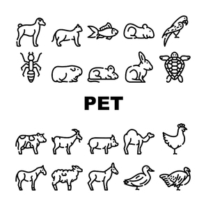 Pet Domestic, Farm And Sea Aqua Icons Set Vector. Mice And Hamster, Dog Puppy And Cat Kitty Pet, Horse And Camel, Parrot And Chicken Bird, Turtle And Aquarium Fish Contour Illustrations