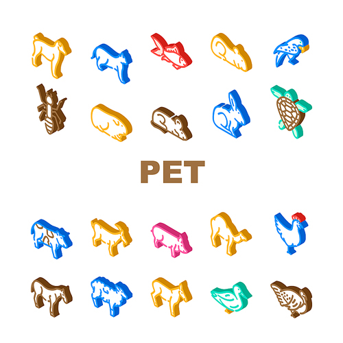 Pet Domestic, Farm And Sea Aqua Icons Set Vector. Mice And Hamster, Dog Puppy And Cat Kitty Pet, Horse And Camel, Parrot And Chicken Bird, Turtle And Aquarium Fish Isometric Sign Color Illustrations