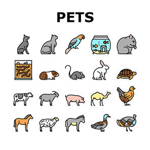 Pets Domestic Animal Collection Icons Set Vector. Dog And CAt Pets, Horse And Donkey, Pig And Bull Or Cow Farmland Beast, Parrot And Chicken Bird Concept Linear Pictograms. Contour Color Illustrations