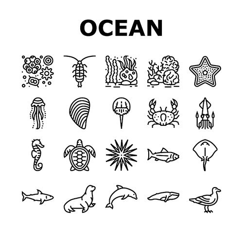 Ocean Underwater Life Collection Icons Set Vector. Ocean Fish And Star, Jellyfish And Turtle, Crab And Skate, Mussels And Phytoplankton Black Contour Illustrations