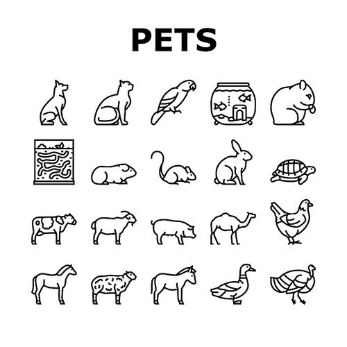 Pets Domestic Animal Collection Icons Set Vector. Dog And CAt Pets, Horse And Donkey, Pig And Bull Or Cow Farmland Beast, Parrot And Chicken Bird Black Contour Illustrations