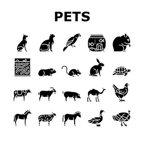 Pets Domestic Animal Collection Icons Set Vector. Dog And CAt Pets, Horse And Donkey, Pig And Bull Or Cow Farmland Beast, Parrot And Chicken Bird Glyph Pictograms Black Illustrations