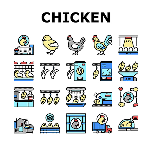 Chicken Meat Factory Collection Icons Set Vector. Chicken Feather Pluck And Washing Machine, Conveyor And Refrigerator For Frozen Carcass Concept Linear Pictograms. Contour Color Illustrations