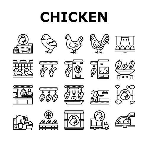 Chicken Meat Factory Collection Icons Set Vector. Chicken Feather Pluck And Washing Machine, Conveyor And Refrigerator For Frozen Carcass Black Contour Illustrations