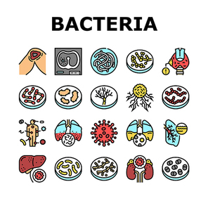 Bacteria Infection Collection Icons Set Vector. Candida Bacteria And Plague, Cancer Cell And Thyroid Disease, Cutaneous Mucormycosis And Parasit Worms Line Pictograms. Contour Color Illustrations