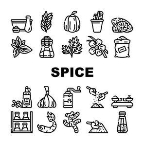 Spice Vegetable Food Collection Icons Set Vector. Spice Vanilla Sticks And Cinnamon, Delicacy Taste Basil Leaves And Parsley, Mustard And Paprika Black Contour Illustrations