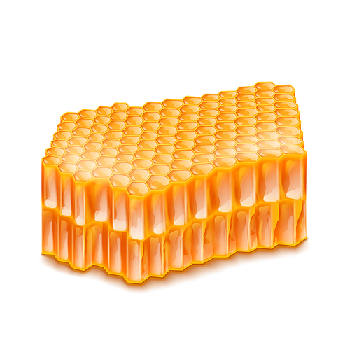 honey honeycomb. orange healthy comb. tasty organic food. gold natural honey. 3d realistic vector