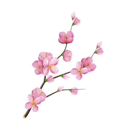 sakura flower branch blossom pink tree. marriage decoration. pink leaf. 3d realistic vector illustration