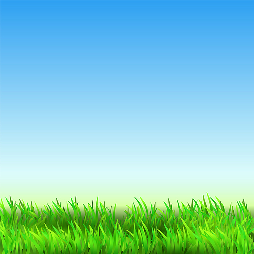 Field Green Grass Countryside Landscape Vector. Field Nature With Growing Fresh Plant And Blue Clean Sky. Park Lawn Or Agricultural Farm Meadow Land Template Realistic 3d Illustration