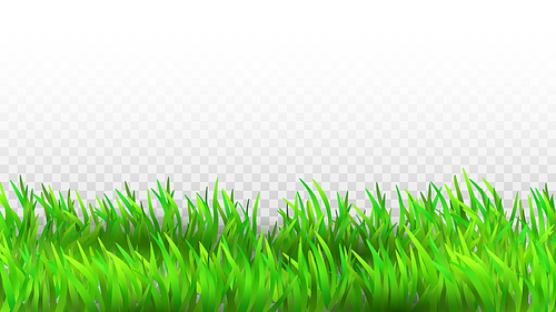 Grass Growing Green Plant Rural Landscape Vector. Field Or Meadow Natural Grass Grow In Spring Or Summer Time. Garden Lawn Or Agriculture Farmland Template Realistic 3d Illustration