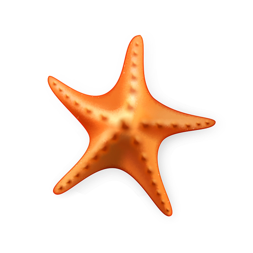 Starfish Aquatic Underwater Caribbean Fish Vector. Starfish Ocean Or Aquarium Life Animal. Marine Star Fish, Tropical Beach And Sea Reef Wildlife Fauna Template Realistic 3d Illustration