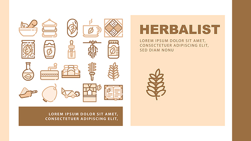 Herbalist Medical Landing Web Page Header Banner Template Vector. Scissors And Dryer, Organizer And Package Herbalist Equipment, Herbal Tea And Medicine Pills Illustration