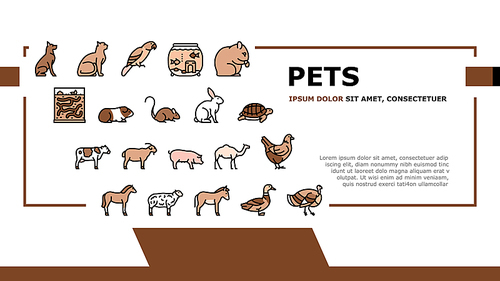 Pets Domestic Animal Landing Header Vector. Dog And CAt Pets, Horse And Donkey, Pig And Bull Or Cow Farmland Beast, Parrot And Chicken Bird Illustration