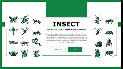 Insect, Spider And Bug Wildlife Landing Web Page Header Banner Template Vector. Dragonfly And Butterfly, Ladybug Cockroach, Grasshopper And Bumblebee, Mosquito Caterpillar Insect Line. Illustration