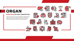 Organ Donation Medical Landing Web Page Header Banner Template Vector. Liver And Lungs, Heart And Brain, Stomach And Intestines Human Organ Donation Illustration