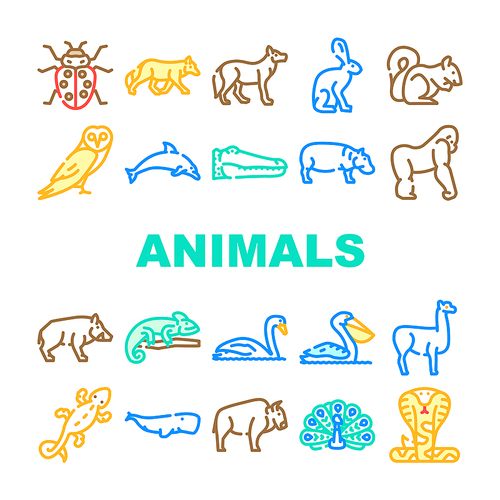 Wild Animals, Birds And Insects Icons Set Vector. Alligator Reptile And Cobra Snake, Hippopotamus And Dolphin Marine Mammal Animals, Squirrel And Chameleon Line. Color Illustrations