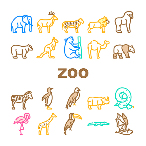 Zoo Animals, Birds And Snake Icons Set Vector. Tiger And Elephant, Bear And Panda, Zebra And Kangaroo, Toucan And Eagle, Crocodile And Giraffe Zoo Animals Line. Color Illustrations