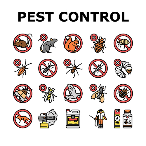 Pest Control Service Treatment Icons Set Vector. Woodworm And Spider, Ant And Rat, Mouse And Silverfish Pest Control With Professional Equipment And Chemical Liquid Or Smoke Line. Color Illustrations