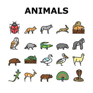 Wild Animals, Bugs And Birds Icons Set Vector. Alligator Reptile And Cobra Snake, Lama And Antelope, Gorilla And Hippopotamus Wild Animals Line. Chameleon And Lizard Color Illustrations