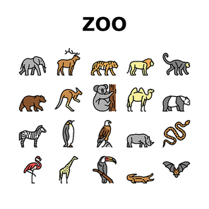 Zoo Animals, Birds And Snakes Icons Set Vector. Exotic Tiger And Elephant, Deer And Kangaroo, Camel And Panda Bear, Zebra And Monkey In Zoo Line. Flamingo And Penguin Color Illustrations