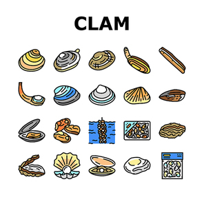 Clam Marine Sea Farm Nutrition Icons Set Vector. Ocean Quahog And Surf Clam, Pearl Oyster Shell And Mussel, Donax And Pacific Geoduck Line. Seafood Delicious Nutrient Color Illustrations