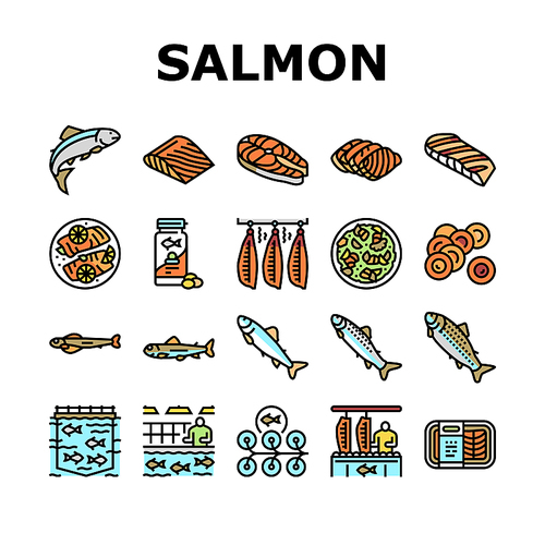 Salmon Fish Delicious Seafood Icons Set Vector. Sashimi And Salmon Fillet Steak, Fresh And Cooked Dish Sea Food, Caviar And Oil Line. Plant Processing And Farming Color Illustrations